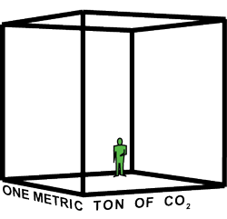 What-does-a-metric-ton-of-CO2-look-like.gif